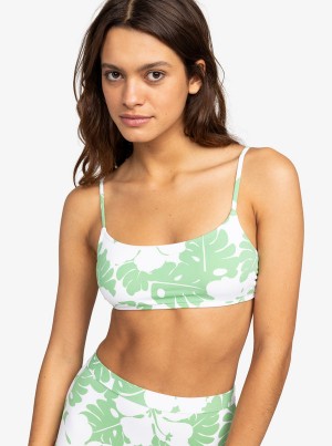 Roxy OG Bralette Bikini Felsők | 4657203-IO