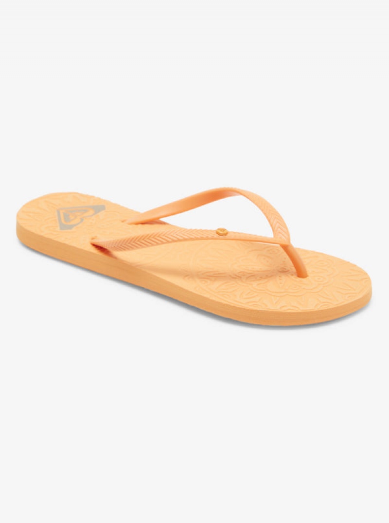 Roxy Antilles Strandpapucs | 7643591-FK