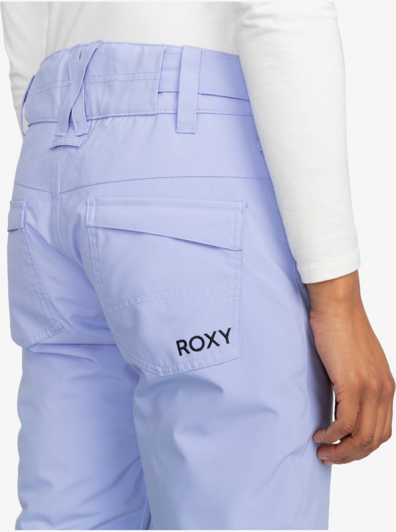 Roxy Backyard Technical Snowboard Nadrág | 6132805-PU