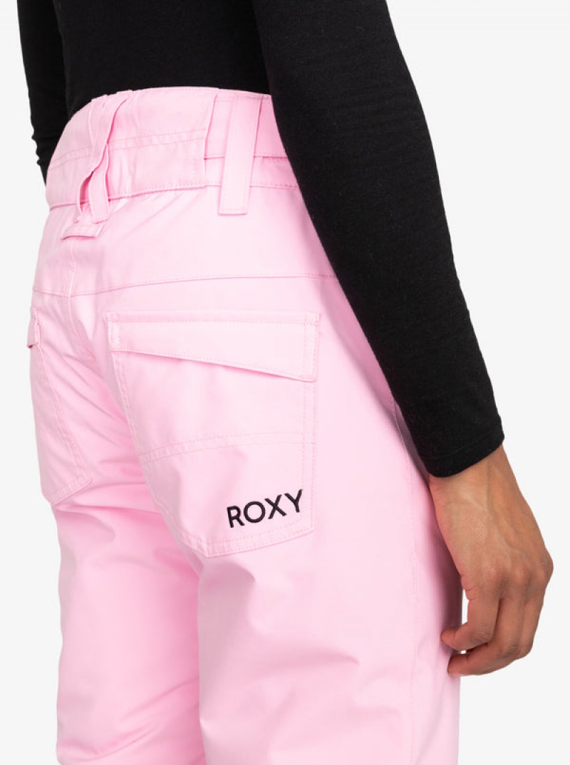 Roxy Backyard Technical Snowboard Nadrág | 4921873-FL