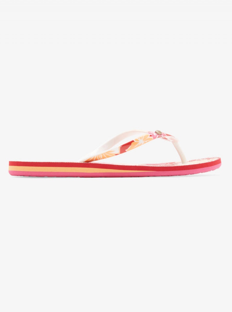 Roxy Portofino Strandpapucs | 3850192-UW